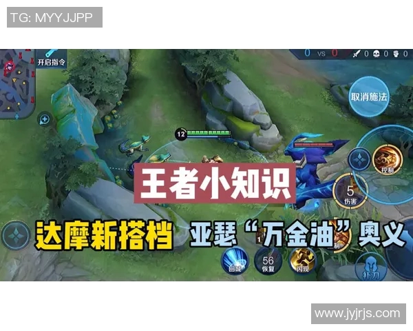 赵丽深度解析英雄联盟游戏策略与技巧分享，助你提升游戏水平与战斗意识